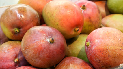 Close-up of a heap of many colorful ripe mangoes