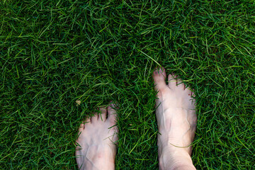 lawn and a foot without shoes