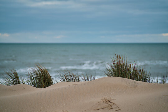 Dune At The Coast With North Sea In The Background.