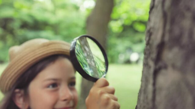Children's education. Portrait of curious little girl in a straw hat looks at the tree bark through a magnifying glass. Slow motion. Pan shot. The concept of scouting and childhood.