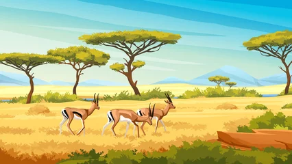 Foto op Canvas African savannah landscape with wild roe young deers, nature of Africa, cartoon background. Vector green trees, rocks and plain grassland field under blue clear sky. Kenya panoramic view © Sensvector