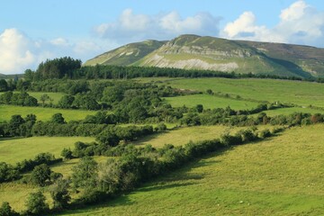 Obraz premium Landscape at Calry, County Sligo, Ireland featuring hill of green fields of farmland pastures bordered by trees with Keelogyboy mountain in background