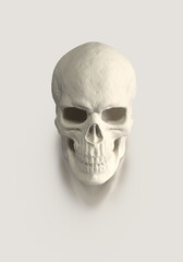 Black skull with gold reflections. Image of death. Black skeleton with gold lines