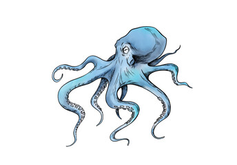 Watercolor template. Beautiful motifs for decoration design. Watercolor  ocean octopus clipart. Artistic backdrop. Watercolor on white background. Watercolor illustration. Sea motifs.