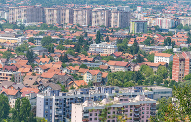 Nedzarici