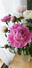 pink peonies in a vase on the table