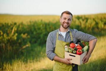 farmer holding a crate of bio vegetables in the farm. Happy man showing box of harvested vegetables.