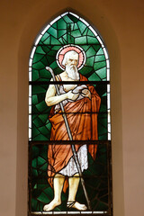 Stained glass in a catholic church : Saint Jerome