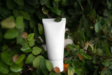 Closeup facial fresh organic skincare white tube bottle eco friendly product blank label surround...