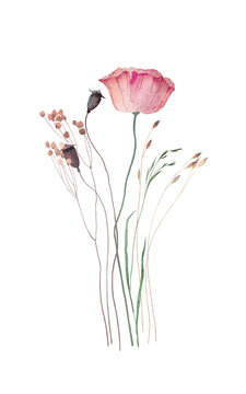 Bouquet with summer flowers. Watercolor picture with poppies, dried flowers and spikelets. Isolated on white background. Illustration for card, banner or your other design.