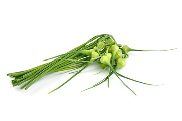 Obraz premium Garlic shoots on white background. Studio Photo, isolated on white background.