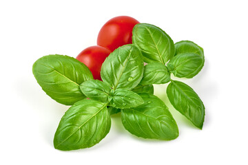 Fototapeta premium Fresh organic basil leaveswith cherry tomatoes, close-up, isolated on white background.