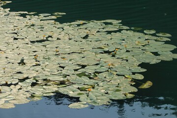 Terlago lake  near Trento in Northern Italy