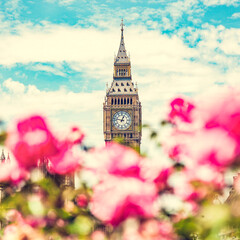 Fototapeta na wymiar Big Ben, the Palace of Westminster in London, UK seen from public garden with flowers
