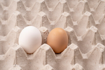 Organic chicken eggs on the table. Eggs are good for everyone and health. Farm products, natural eggs.