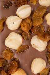 natural milk chocolate with whole roasted hazelnuts and raisins