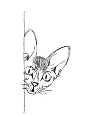 The cat looks out from behind the wall. The sketch is black and white.