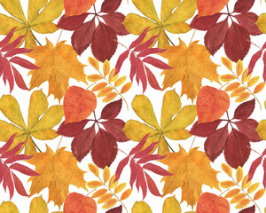 Watercolor apinting seamless pattern with autumn yellow and red leaves - 519111117