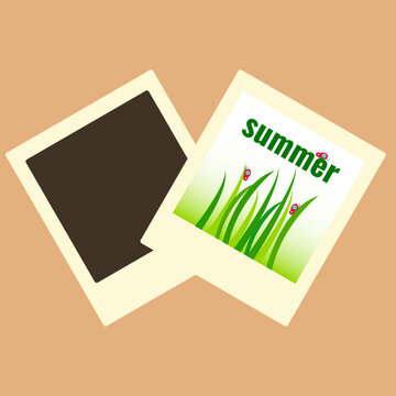 Photo card with grass and butterflies. Summer. Vector illustration. Photo card

