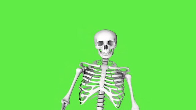 Skeleton zombie walks limping. Creepy skeleton close-up. Video Halloween. 3D animation on a green screen.