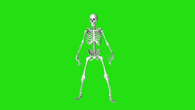 Skeleton zombie looks around. Creepy skeleton with long fingers. Halloween video. 3D animation on a green screen.
