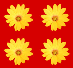 Abstract floral design