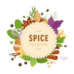 Spices and herbs. Vector illustration of kitchen herbs with vanilla, anise, ginger, cinnamon, curry, basil, garlic, rosemary. Popular indian spices for menu, pattern, background, banner, web design