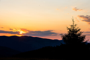 Beautiful sunset landscape with mountains and trees