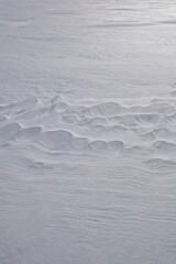 Winter scene with snow patterns on ground.
