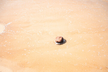 Feet in the sand desert beach pattern texture background.