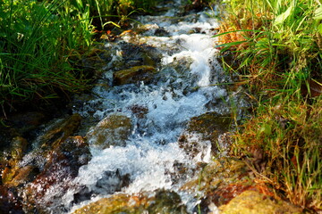 Frothy fast water stream of mountain creek flowing down over stones bed, with green grass on shores