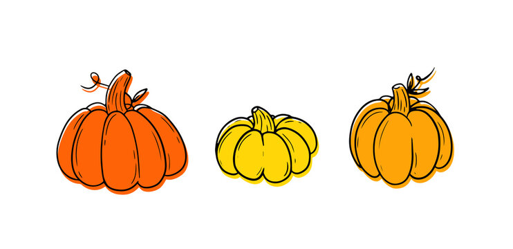 Collection Pumkins. Vegetable set. Doodle outline illustration.