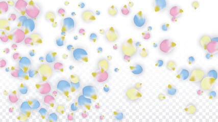 Vector Realistic Colorful Petals Falling on Transparent Background. Spring Romantic Flowers Illustration. Flying Petals. Sakura Spa Design. Blossom Confetti. Design Elements for Wedding Decoration.