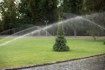 On green lawn, in a park or garden, a sprinkler is working. Automatic sprinkler irrigation system or device for watering of lawn. Grass irrigation. Garden Irrigation sprinkler watering lawn. Spraying	