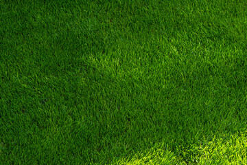 grass not mowed, pitch