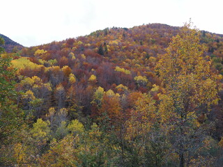 El otoño entre las montañas de Huesca, cerca de Ordesa. España.