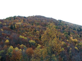 El otoño entre las montañas de Huesca, cerca de Ordesa. España.