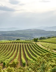 Crédence de cuisine en verre imprimé Vignoble Landscape with Vineyards in The Luberon in central Provence in Southern France