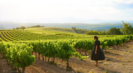Woman in black dress walking at sunset through vineyard in the Luberon in Provence in southern...