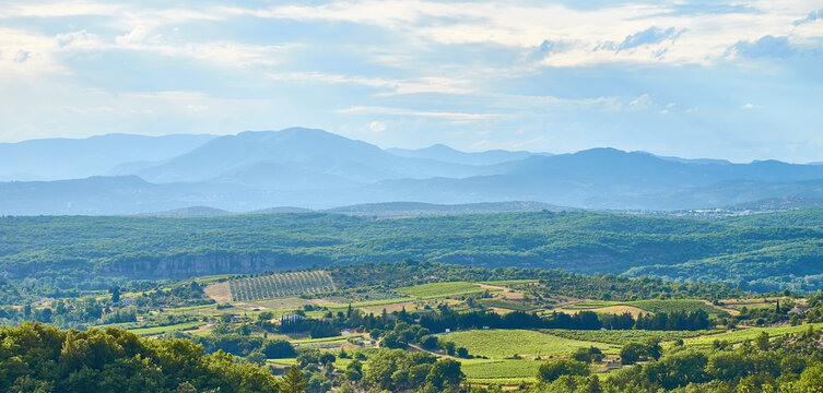 Landscape with Vineyards in The Luberon in central Provence in Southern France