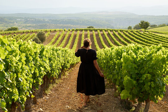 Woman in black dress walking at sunset through vineyard in the Luberon in Provence in southern France
