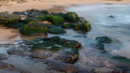 Rocks covered by green moss on the beach shore.
