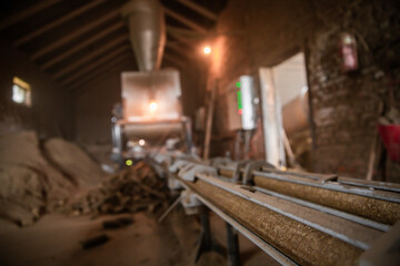 Obraz na płótnie Canvas processing of hay for biomass on the farm