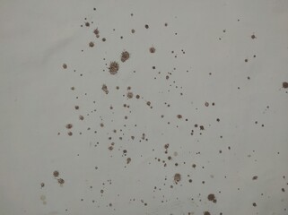 Peeling Grunge Wall Texture.Patched and Deteriorating Wall.Rusty and Dilapidated Wall Surface.Chipped and Peeling Plaster Texture.Cracked and Textured Cement Wall.Rough and Flaking Mortar Texture.