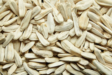 Dry white sunflower seeds closeup
