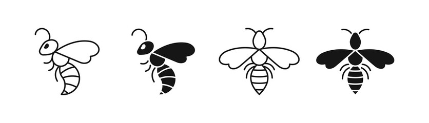 Wasp icon set. Black and linear. Top view and side view. Vector EPS 10
