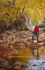Obraz premium Travel and road trip concept at autumn. Adventure and active lifestyle in nature. Tourist hiking in forest. Asian woman in red hoodie walks in forest. Wanderlust concept.