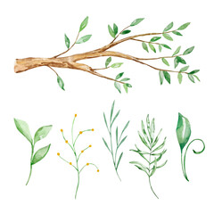 Watercolor honey set, tree branch, leaves and branches