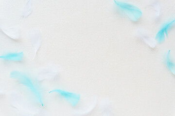 白背景に白とブルーの羽根のシンプルなフレーム