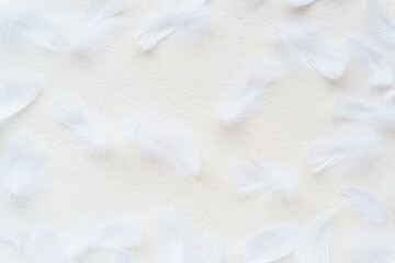 白背景に白い羽根のシンプルなフレーム